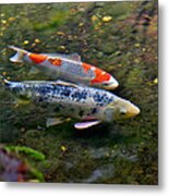 Colored Carp In Fall Pond Metal Print