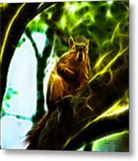 Come On Up - Fractal - Robbie The Squirrel Metal Print