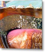 Conch Face- Who Knew Metal Print