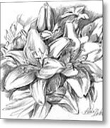 Conte Pencil Sketch Of Lilies Metal Print