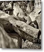 Contorsion Metal Print