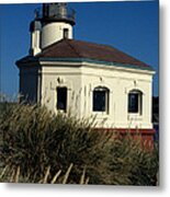 Coquille Light Metal Print