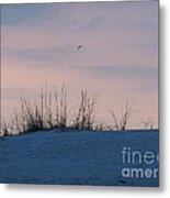 Cotton Candy Sky Metal Print