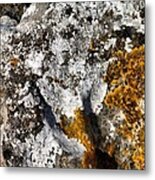 Cumbrian Lichens Metal Print