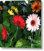 Dahlias Metal Print