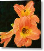 Day Lilly Spectacular Metal Print