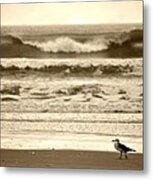 Deliberate Solitude Metal Print