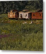 Derailed Metal Print