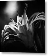 Descent Of The Spirit Metal Print