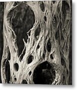 Desert Lace Metal Print