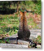 Determined Encouraging Cat Photo Metal Print