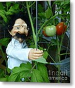 Dorf Chef Doll With Tomatoes Metal Print