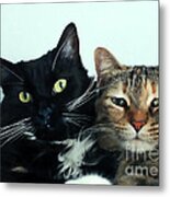 Double Trouble 1 Metal Print