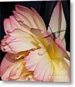 Dragonfly And Lotus Metal Print