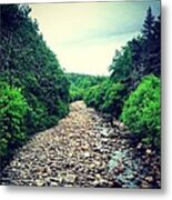 Dried Out River Metal Print