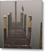 Early Morning On The Dock Metal Print