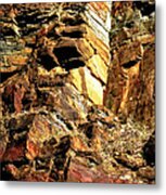 Earth Tones Metal Print