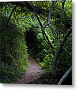 Edge Of The Shire Metal Print