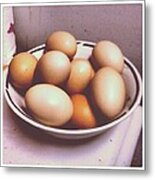 Eggs Metal Print