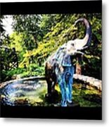 Elephant Bathing At St. Louis Zoo Metal Print