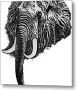 Elephant Metal Print