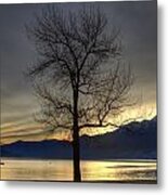 Evening At The Lake Maggiore Metal Print