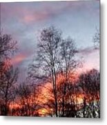Explosions Of Color Metal Print