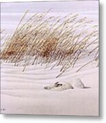 Facing The Wind Metal Print