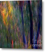 Faeries In The Forest Metal Print by Michelle Wrighton