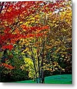 Fall Buddies Metal Print