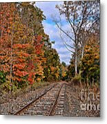 Fall Colors 1 Metal Print