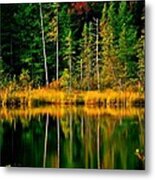 Fall Colors And Reflections Metal Print
