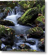 Fall Colors Of The Vartry Metal Print