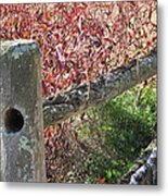Fall Colors On The Fence Metal Print