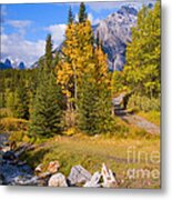 Fall In Banff National Park Metal Print