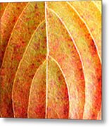Fall Leaf Upclose Metal Print