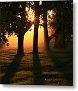 Fall Sunset Metal Print