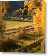 Fall View Metal Print