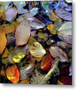 Fallen Leaves Metal Print