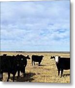 Farm Friends Metal Print