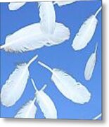 Feathers In The Air Metal Print