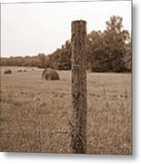 Fence And Field Metal Print