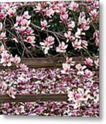 Fence Of Flowers Metal Print