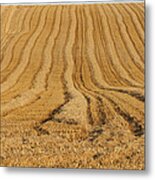 Field Metal Print