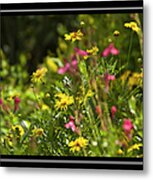 Field Of Wildflowers Metal Print