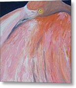 Flamingo Napping Metal Print