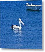 Floaters Metal Print