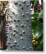 Floss Silk Tree Metal Print