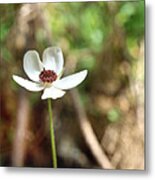 Flower Among The Olives Metal Print