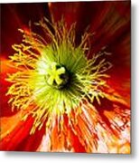 Flower Metal Print